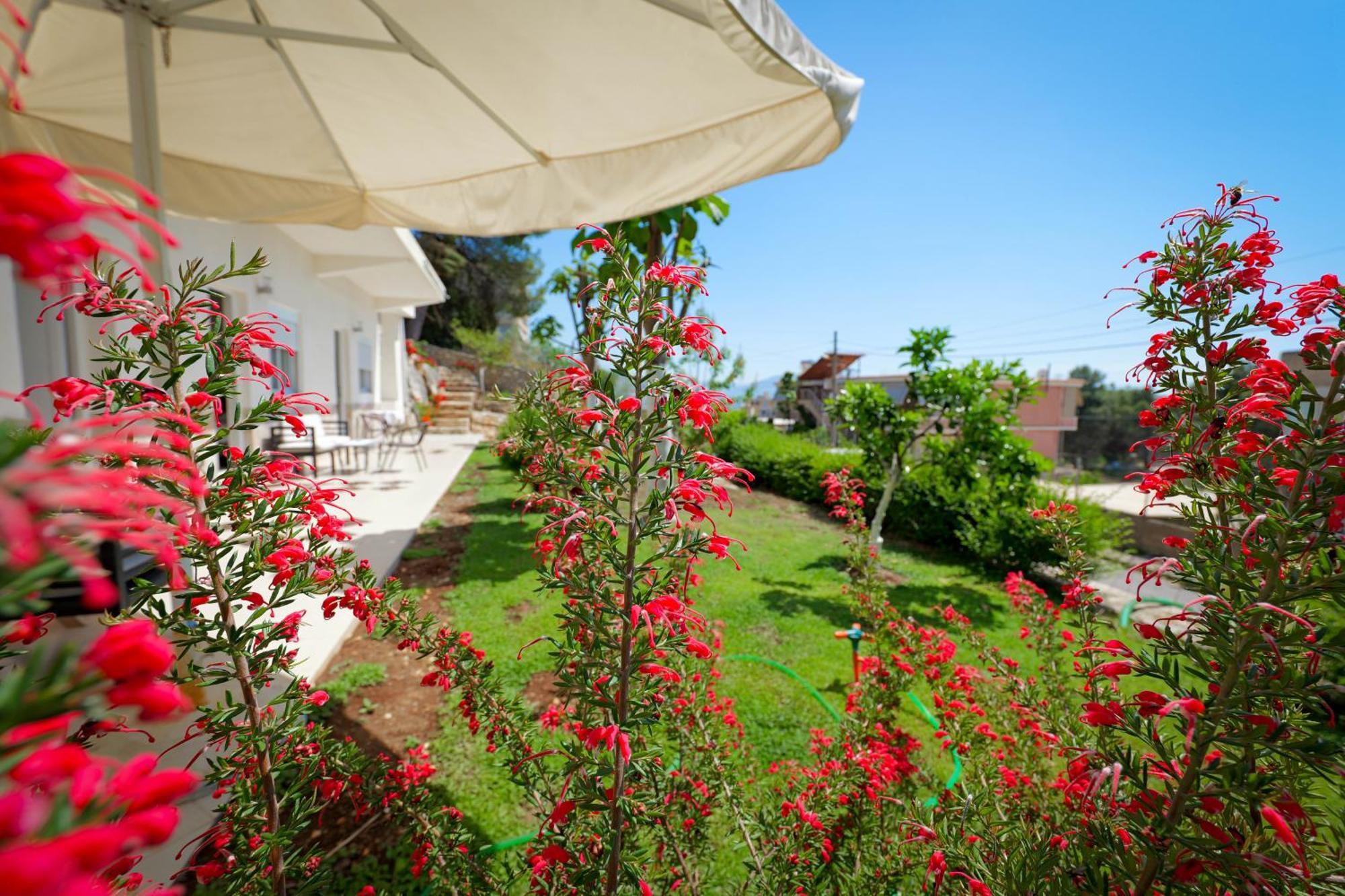 Flower Vila ซารานเดอ ภายนอก รูปภาพ